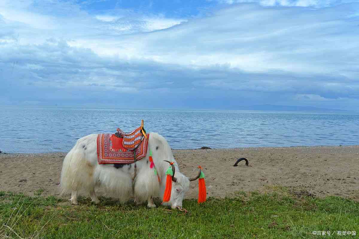 翡翠湖青海简介